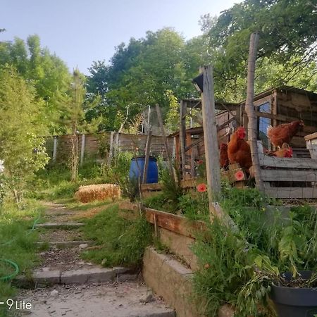 La Cabane Des Trappeurs Crépy-en-Valois Eksteriør billede